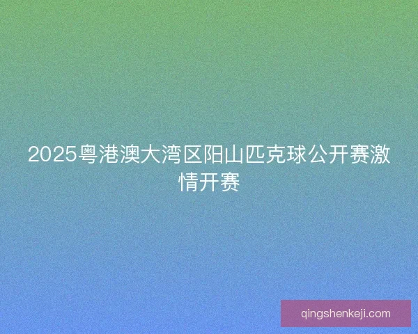 2025粤港澳大湾区阳山匹克球公开赛激情开赛