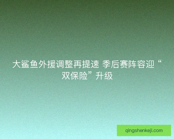 大鲨鱼外援调整再提速 季后赛阵容迎 “双保险” 升级